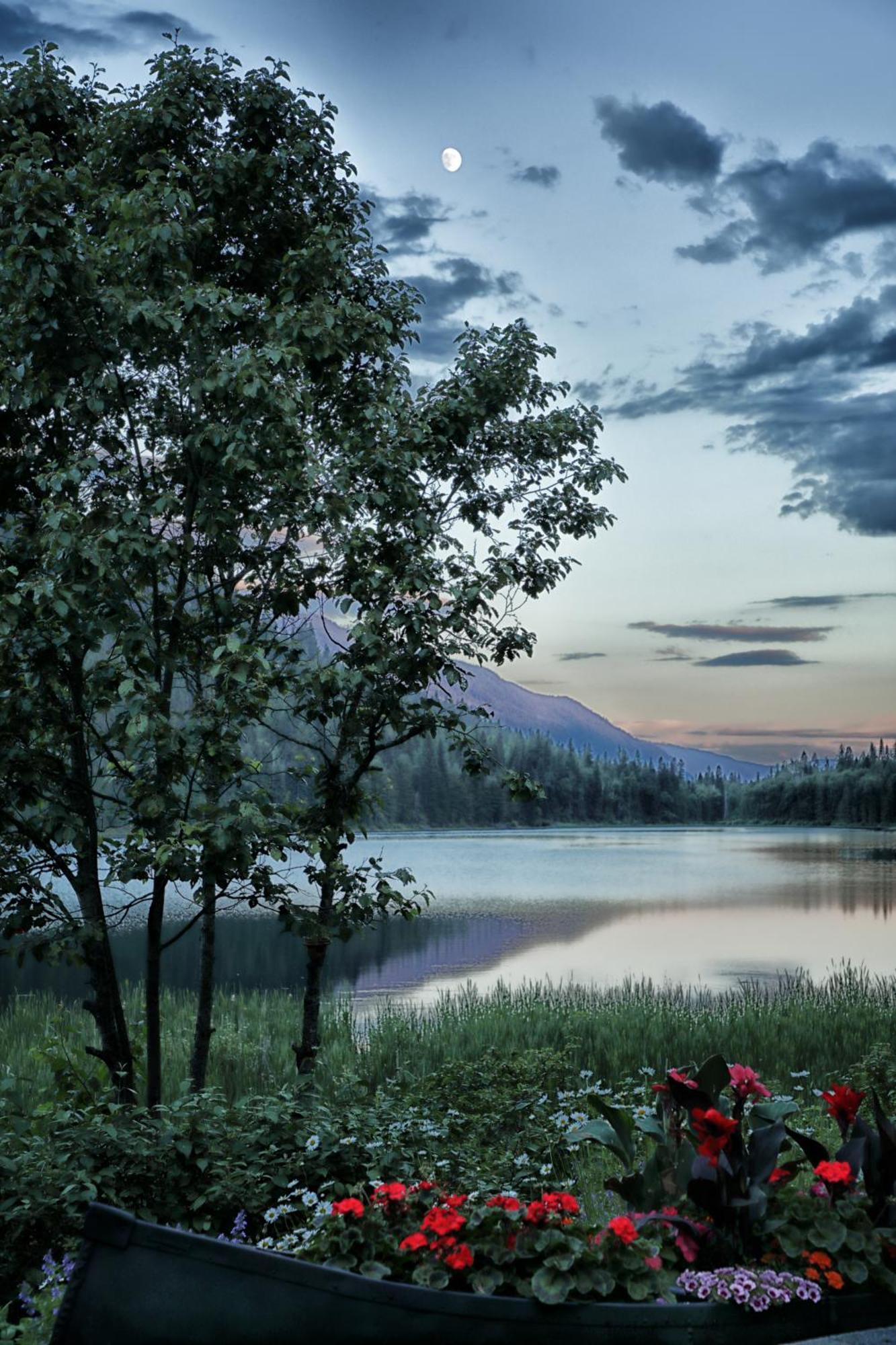 Alpine Meadows Resort Clearwater Exterior foto